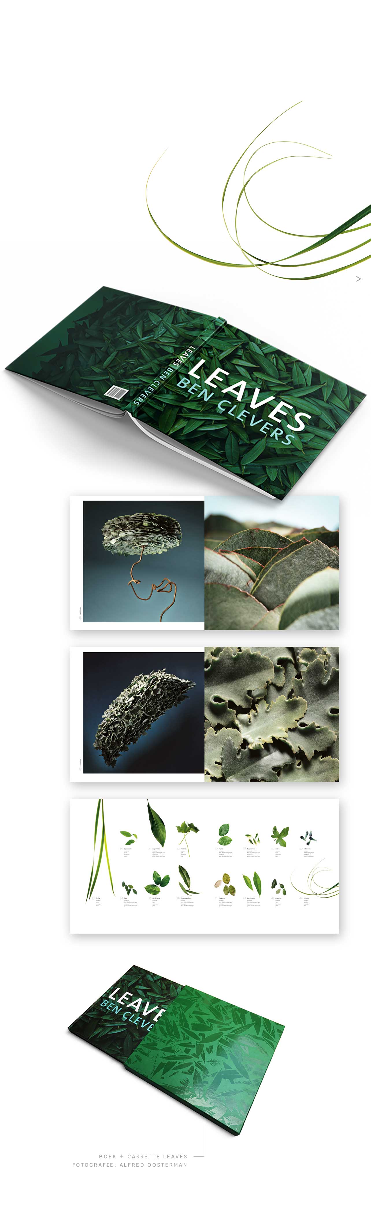 boek leaves